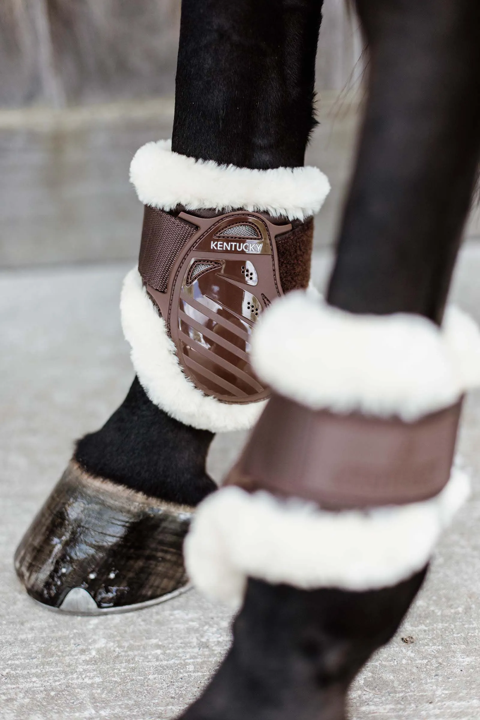 Kentucky Horsewear Stivali paranocche in pelle vegana per cavalli giovani