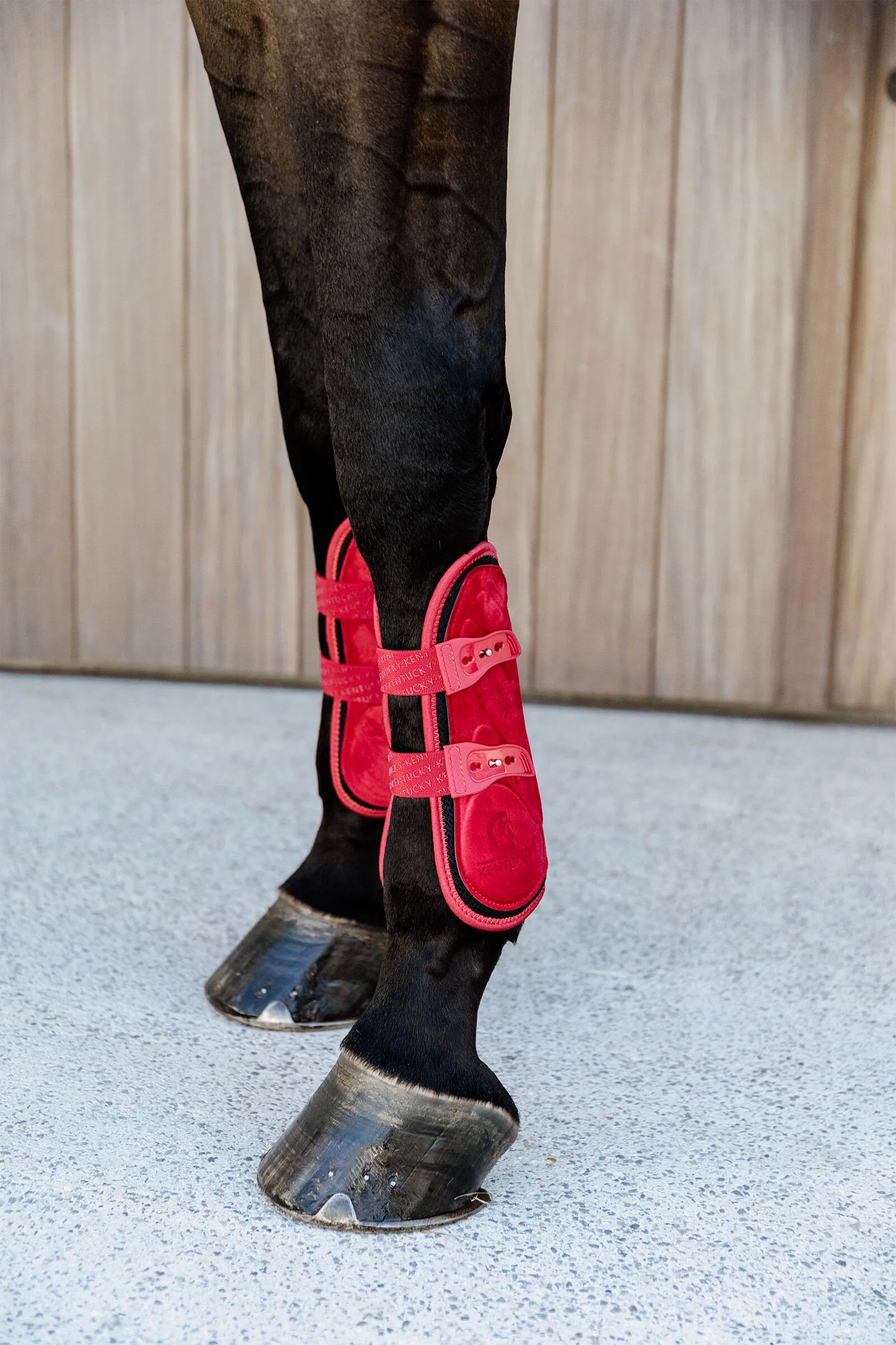 Stivali tendine in velluto elastico di bambù Kentucky Horsewear